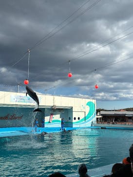 南知多ビーチランド＆南知多おもちゃ王国に投稿された画像（2026/1/2）