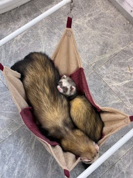 南知多ビーチランド＆南知多おもちゃ王国に投稿された画像（2026/1/2）