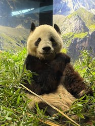 恩賜上野動物園に投稿された画像（2026/1/2）