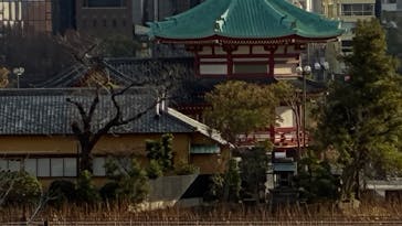 恩賜上野動物園に投稿された画像（2026/1/2）