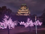 大阪城イルミナージュに投稿された画像（2026/1/2）