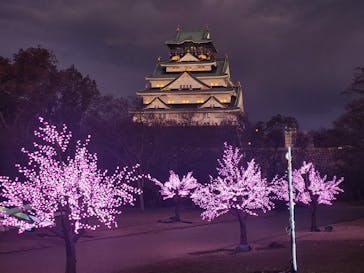大阪城イルミナージュに投稿された画像（2026/1/2）