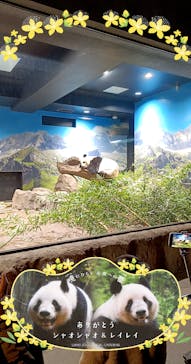 恩賜上野動物園に投稿された画像（2026/1/2）