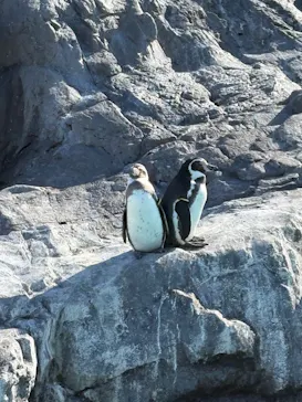 葛西臨海水族園に投稿された画像（2026/1/2）
