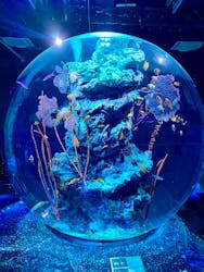 AQUARIUM × ART　atoaに投稿された画像（2026/1/2）