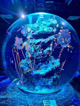 AQUARIUM × ART　atoaに投稿された画像（2026/1/2）