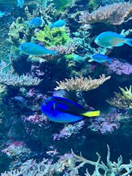 AQUARIUM × ART　atoaに投稿された画像（2026/1/2）