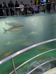 城崎マリンワールドに投稿された画像（2026/1/2）