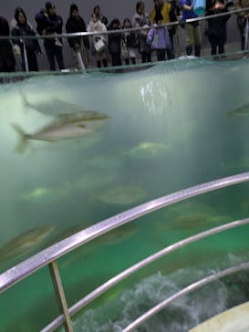 城崎マリンワールドに投稿された画像（2026/1/2）