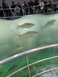 城崎マリンワールドに投稿された画像（2026/1/2）