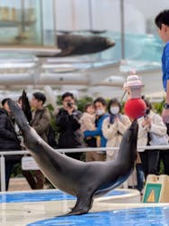 サンシャイン水族館に投稿された画像（2026/1/2）