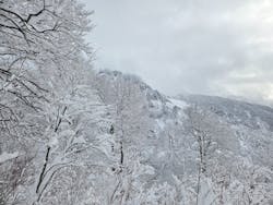 六日町八海山スキー場に投稿された画像（2026/1/2）