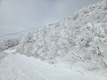 六日町八海山スキー場に投稿された画像（2026/1/2）