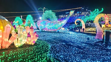 伊豆高原グランイルミに投稿された画像（2026/1/2）