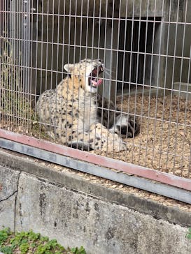 名古屋市東山動植物園に投稿された画像（2026/1/2）