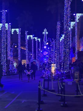 ひらかたパークに投稿された画像（2026/1/2）