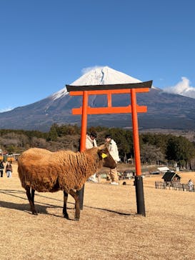 まかいの牧場に投稿された画像（2026/1/2）