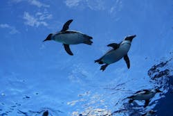 サンシャイン水族館に投稿された画像（2026/1/2）