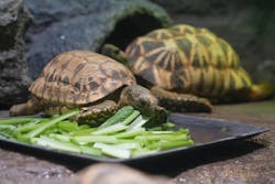 サンシャイン水族館に投稿された画像（2026/1/2）