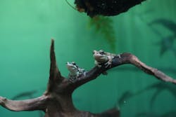 サンシャイン水族館に投稿された画像（2026/1/2）