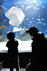 サンシャイン水族館に投稿された画像（2026/1/2）