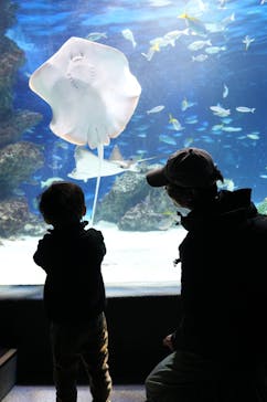 サンシャイン水族館に投稿された画像（2026/1/2）