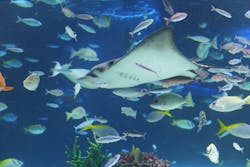 サンシャイン水族館に投稿された画像（2026/1/2）