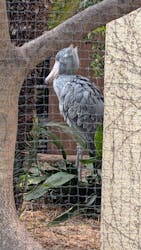 恩賜上野動物園に投稿された画像（2026/1/2）