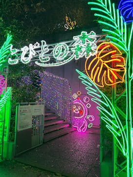 アクロス福岡イルミネーションに投稿された画像（2026/1/2）