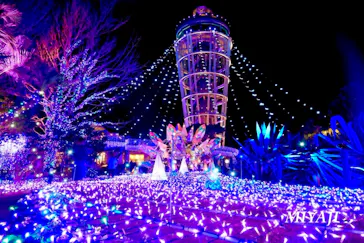 江の島シーキャンドルに投稿された画像（2026/1/2）