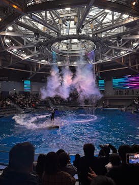 マクセル アクアパーク品川に投稿された画像（2026/1/2）