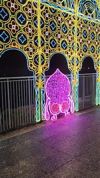 アクロス福岡イルミネーションに投稿された画像（2026/1/2）