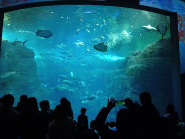 新江ノ島水族館に投稿された画像（2026/1/2）