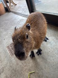 伊豆シャボテン動物公園に投稿された画像（2026/1/2）