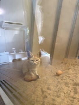 環境水族館アクアマリンふくしまに投稿された画像（2026/1/2）