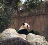 恩賜上野動物園に投稿された画像（2026/1/3）