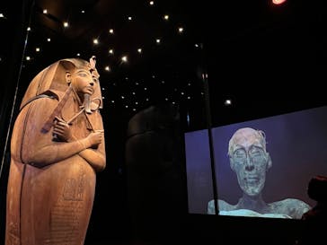 ACN ラムセス大王展 ファラオたちの黄金に投稿された画像（2026/1/2）