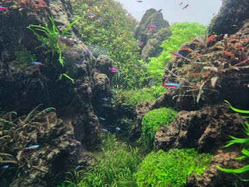 すみだ水族館に投稿された画像（2026/1/2）