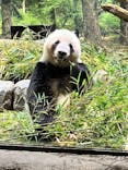 恩賜上野動物園に投稿された画像（2026/1/3）
