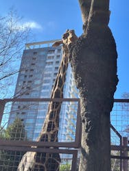 恩賜上野動物園に投稿された画像（2026/1/2）