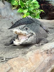 恩賜上野動物園に投稿された画像（2026/1/2）