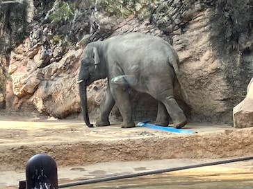 恩賜上野動物園に投稿された画像（2026/1/2）