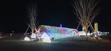 マザー牧場に投稿された画像（2026/1/2）