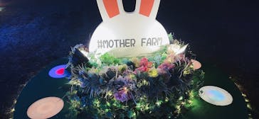 マザー牧場に投稿された画像（2026/1/2）