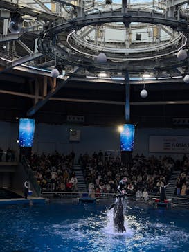 マクセル アクアパーク品川に投稿された画像（2026/1/2）