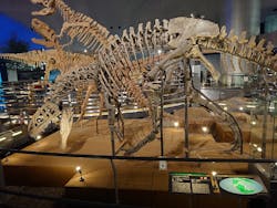 福井県立恐竜博物館に投稿された画像（2026/1/2）