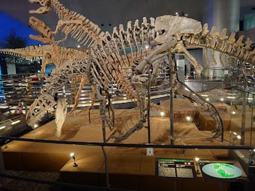 福井県立恐竜博物館に投稿された画像（2026/1/2）