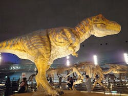 福井県立恐竜博物館に投稿された画像（2026/1/2）
