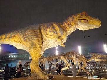 福井県立恐竜博物館に投稿された画像（2026/1/2）