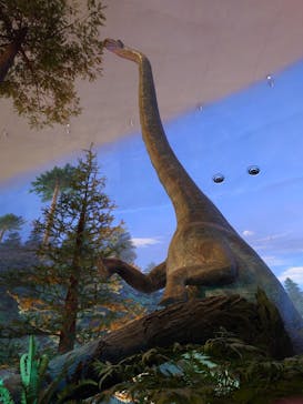 福井県立恐竜博物館に投稿された画像（2026/1/2）